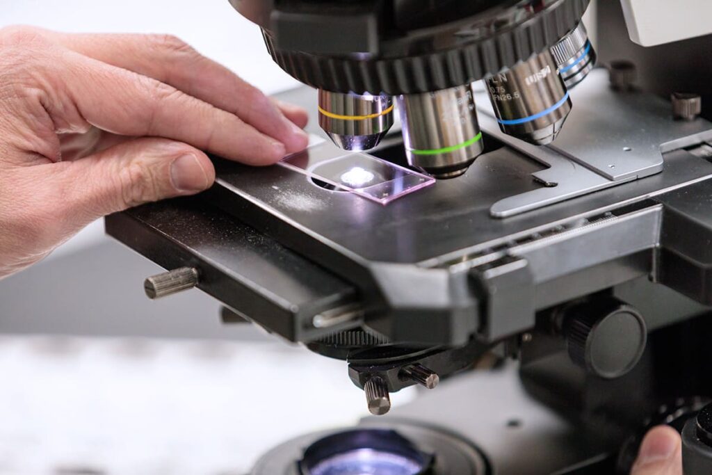 closeup of hand holding slide on microscope.